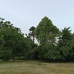 Parcela De Agrados